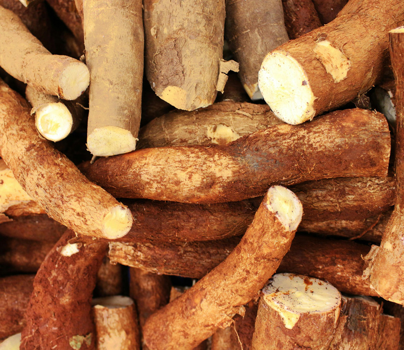Plantain
