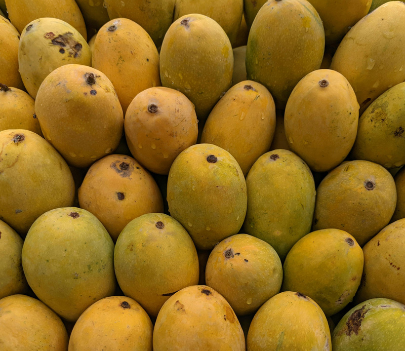 Plantain