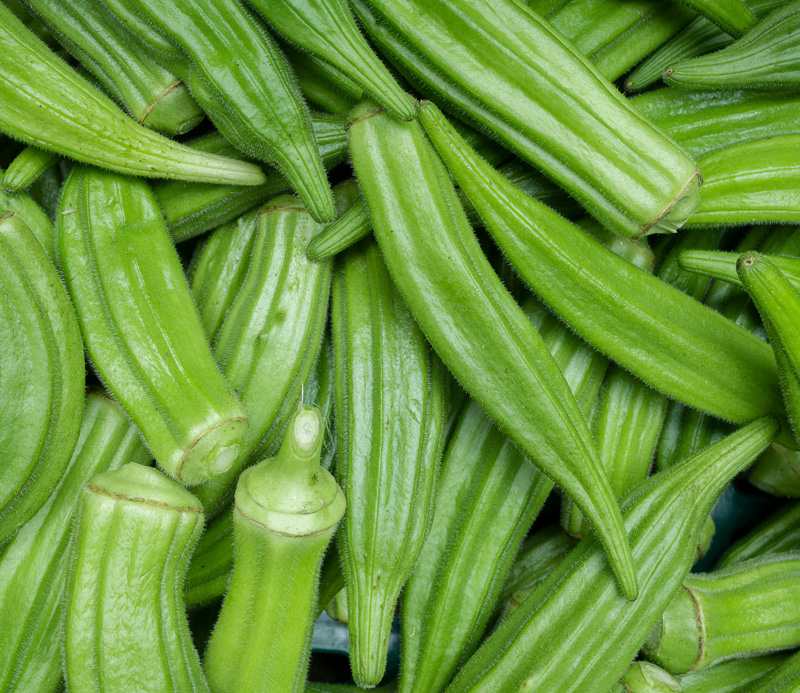 Plantain