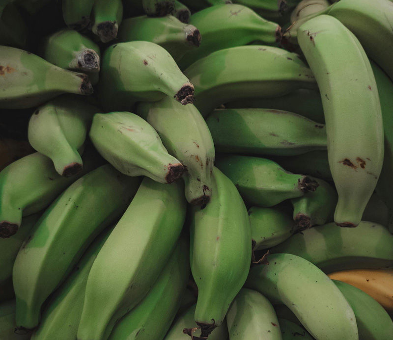 Plantain